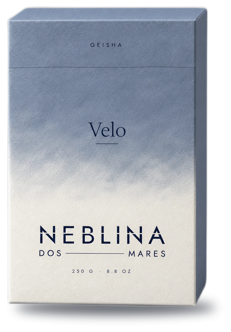 Velo, Geisha